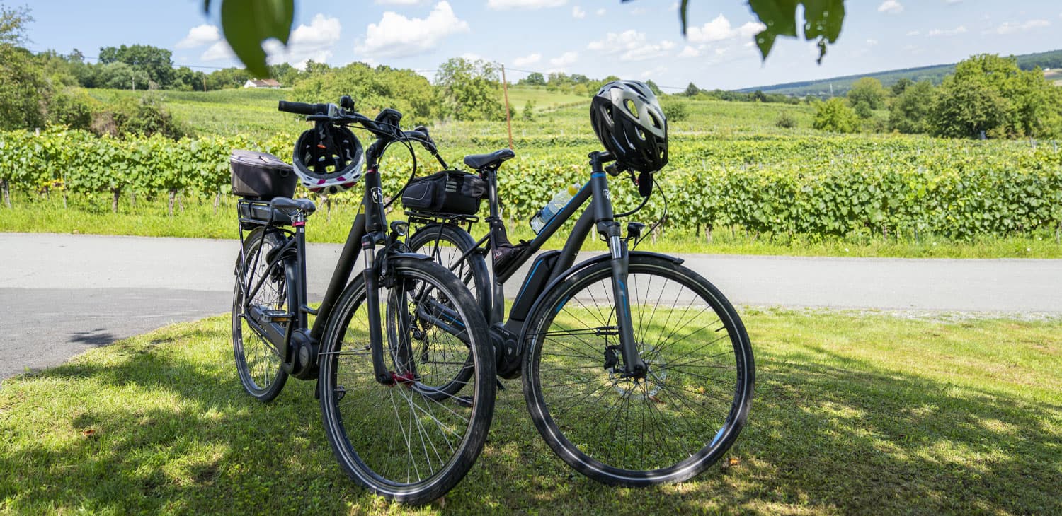 Räder © Burgenland Tourismus Birgit Machtinger